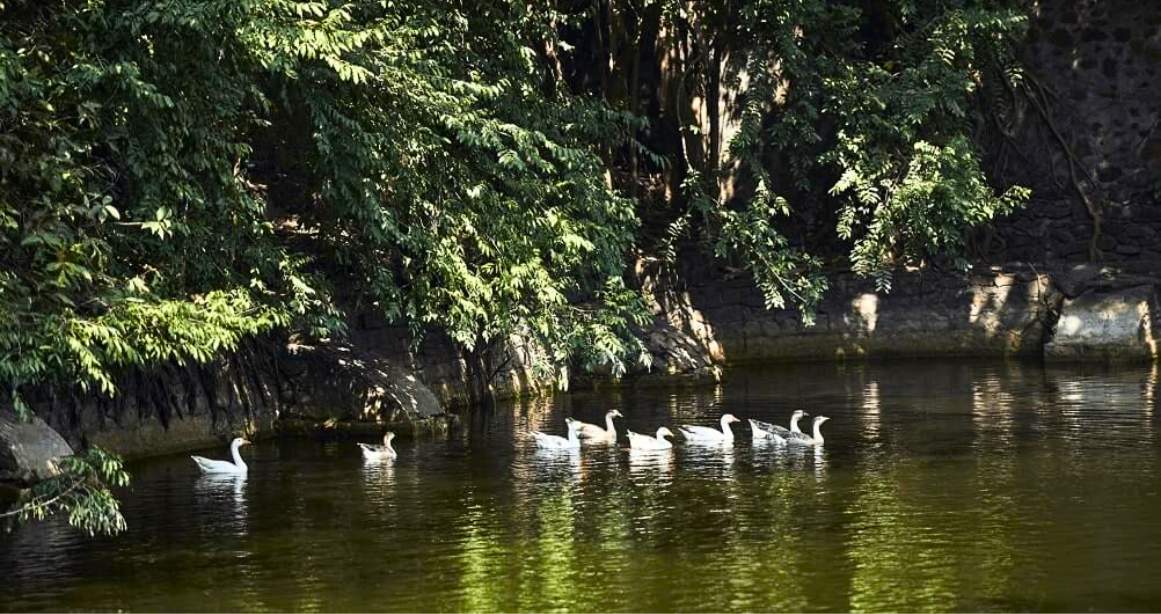 Salsette-27-Amenities-Water-Body-Lake-Dr-Ambedkar-Road-Byculla-East